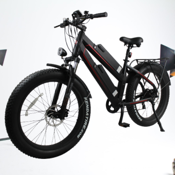 Factory Price Powerful Fat Tire Long Range Mountain Ebike